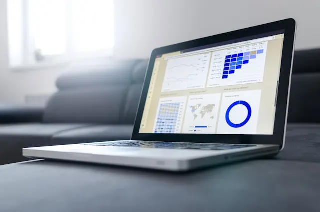 belajar data analyst